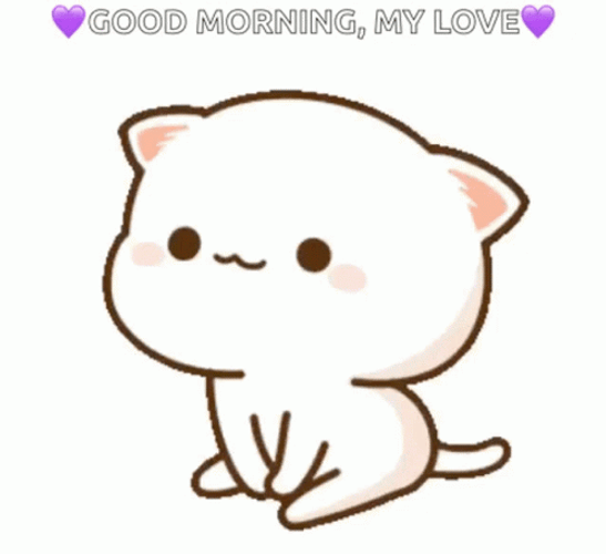 Good Morning My Love Peach Cat GIF
