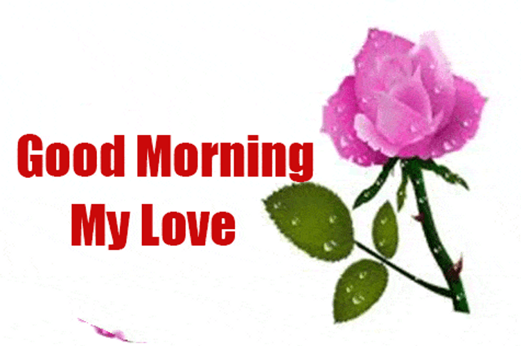 Good Morning My Love Rose Greeting GIF