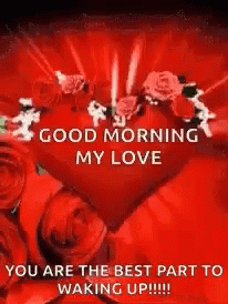 Good Morning My Love