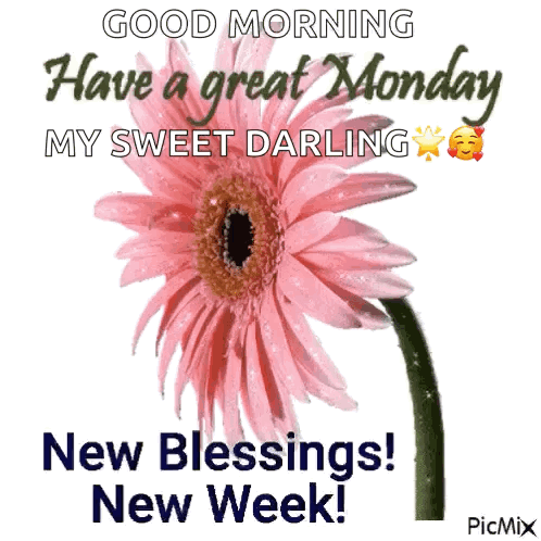 Good Morning My Sweet Darling Pink Flower Blessings