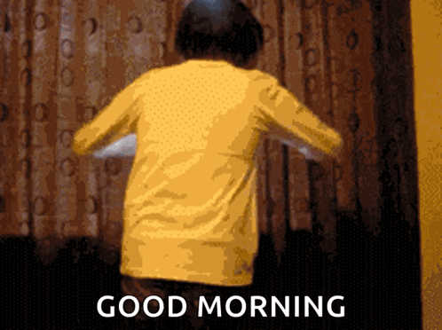 Good Morning Opening Window Meme GIF