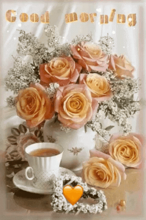 Good Morning Orange Roses GIF