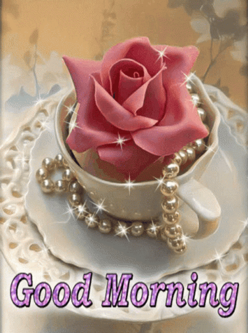 Good Morning Pink Rose GIF