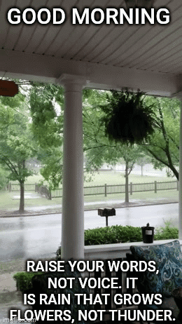 Good Morning Porch Sign Raise Your Words Not Voice