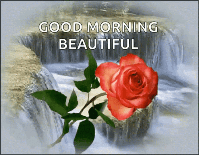 Good Morning Princess GIF