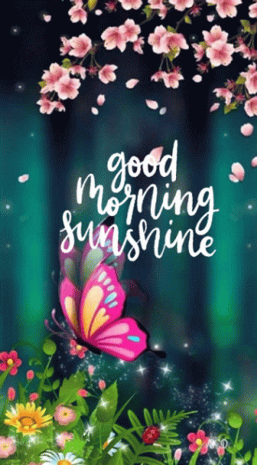 Good Morning Princess GIF