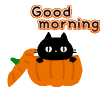 Good Morning Pumpkin Sticker GIF