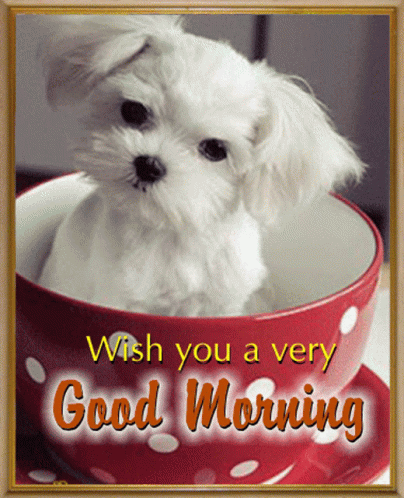 Good Morning Puppies Cute Coffee Cup GIF