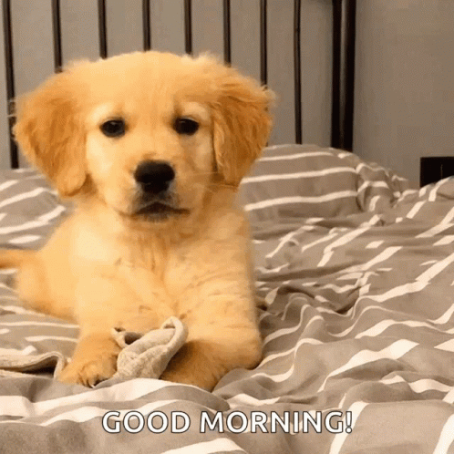 Good Morning Puppies Cute Heart Wink GIF
