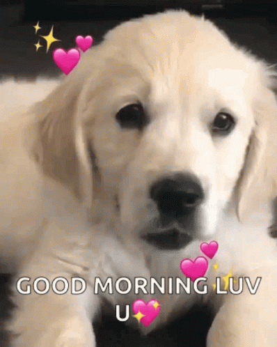 Good Morning Puppies Cute Lovely Greeting GIF