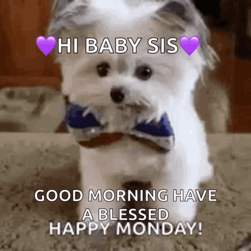 Good Morning Puppies Cute Ribbon GIF