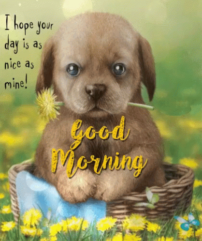 Good Morning Puppies Flower Garden GIF
