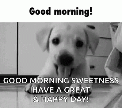 Good Morning Puppies Happy Day Greeting GIF