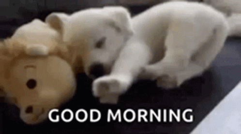 Good Morning Puppies Stuffed Toy GIF