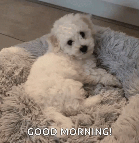 Good Morning Puppies Waving Paws GIF