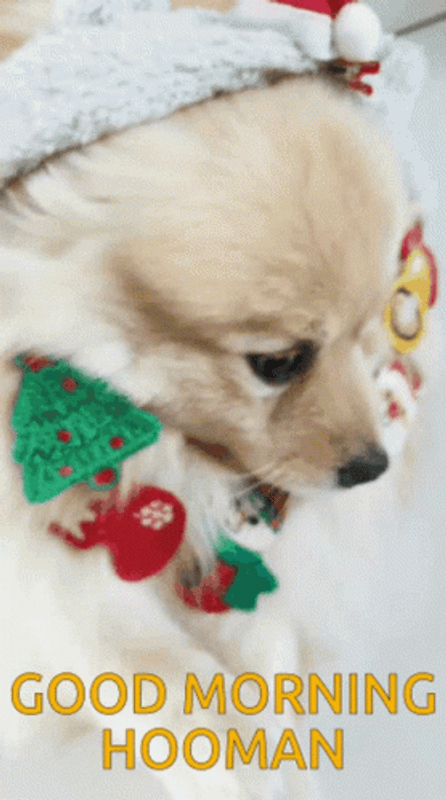 Good Morning Puppy Adorable Christmas Headband GIF