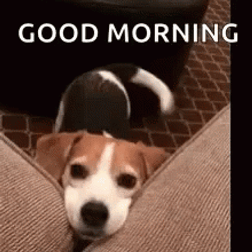 Good Morning Puppy Beagle Wagging Tail GIF