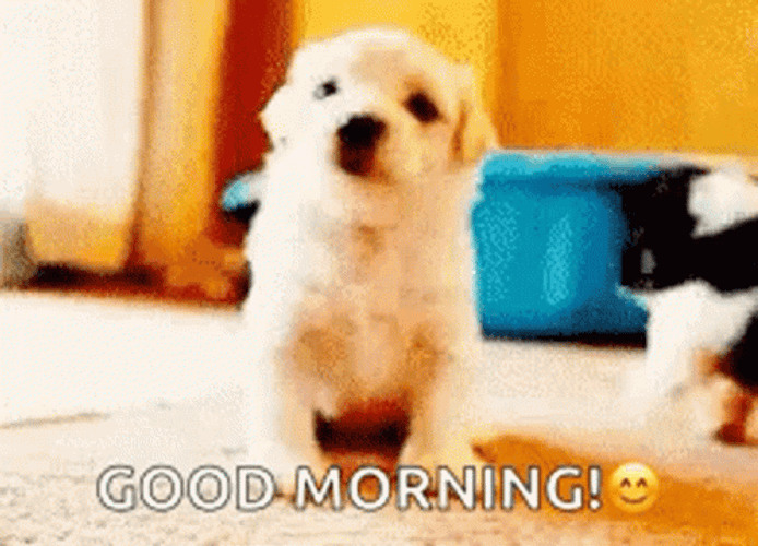 Good Morning Puppy Waving Hello Greeting GIF