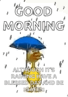 Good Morning Raining Lazy Saturday GIF