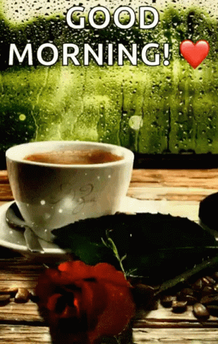 Good Morning Rainy Day Cup With Red Rose GIF