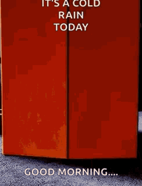 Good Morning Rainy Day Woody Entrance GIF