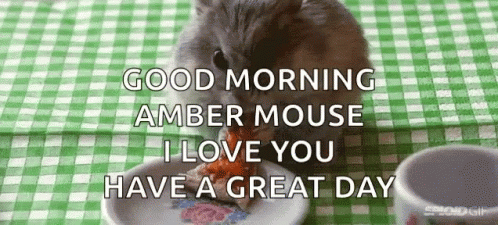 Good Morning Rat Eating Pizza GIF