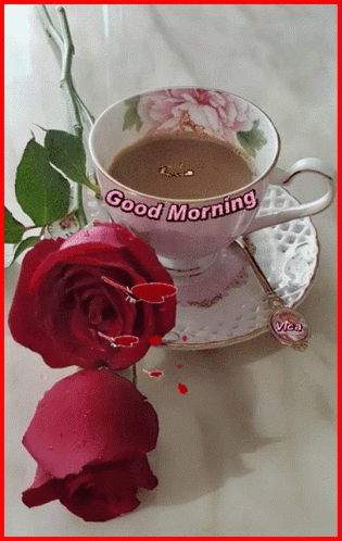 Good Morning Red Roses GIF
