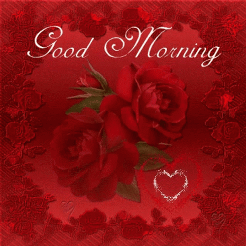 good morning images with red roses