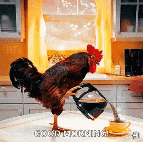 Good Morning Rooster Pouring Coffee GIF