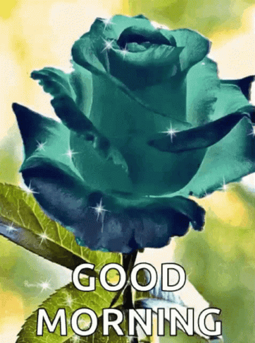 Good Morning Rose Sparkling Green GIF