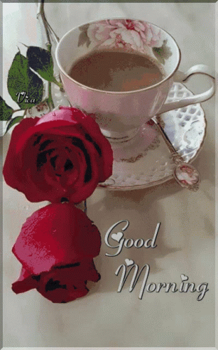 Good Morning Roses Cup Of Coffee GIF