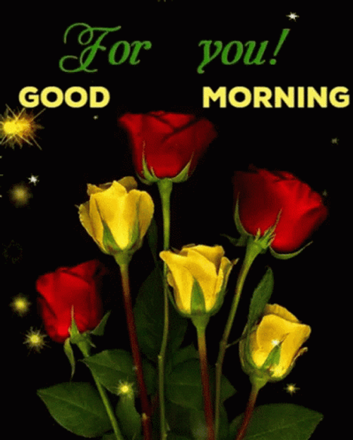 Good Morning Roses For You GIF 