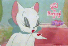 Good Morning Sexy Toodles Galore GIF