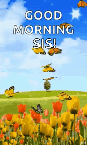 Good Morning Sis Greeting Card With Butterflies GIF