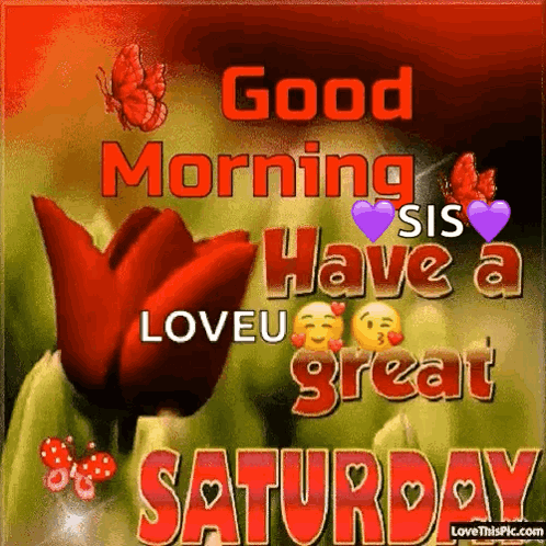 Good Morning Sis Saturday Greeting With Red Flower