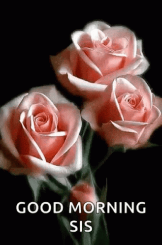 Good Morning Sister Blooming Pink Rose GIF