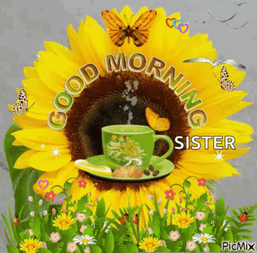 Good Morning Sister Sunflower GIF 