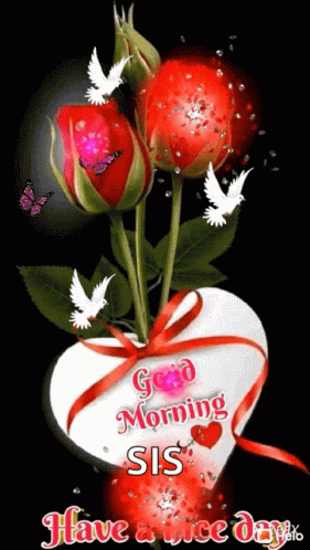 Good Morning Sister With Red Roses And Fireworks GIF