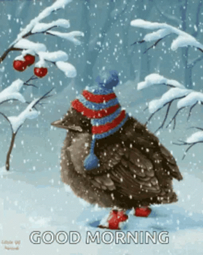 Good Morning Snow Bird Winter Is Coming GIF