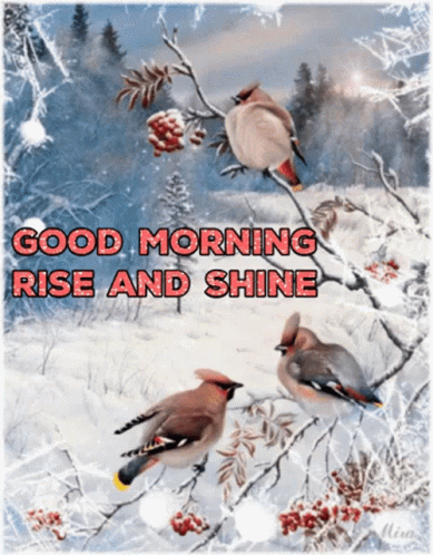 Good Morning Snow Rise And Shine GIF