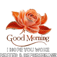 Good Morning Sticker GIF