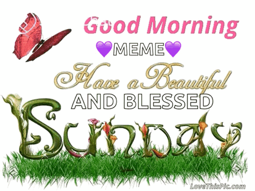 Good Morning Sunday Butterfly Meme GIF