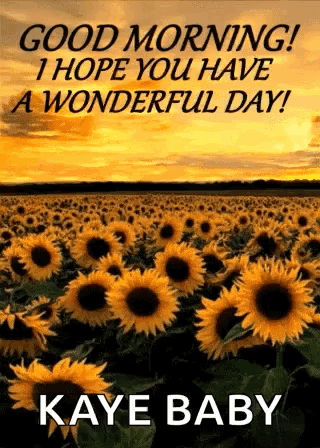 Good Morning Sunflowers
