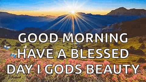 Good Morning Sunrise Blessed Day Butterflies Flowers GIF