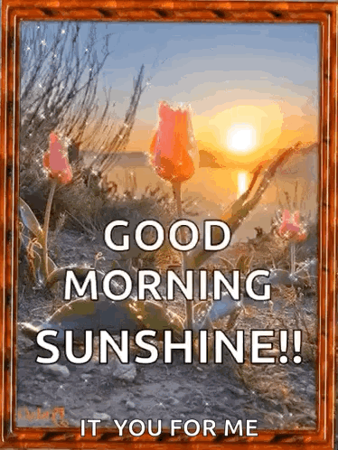 Good Morning Sunset and Flowers Card