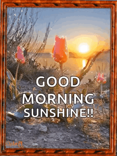 Good Morning Sunshine Flowers