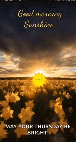 Good Morning Sunshine May Your Thursday Be Bright Greeting