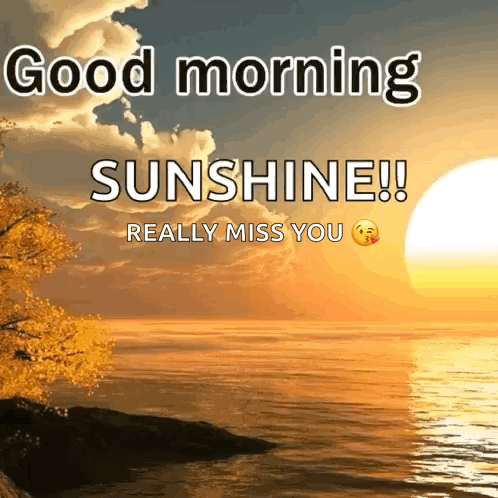 Good Morning Sunshine Miss You