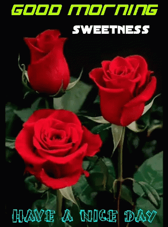 Good Morning Sweetness August GIF