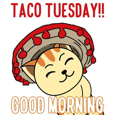 Good Morning Taco Tuesday Cute Mexican Kitty GIF